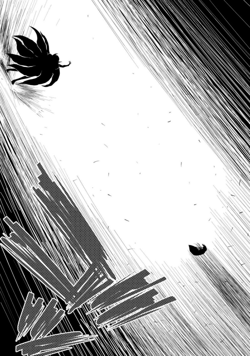 Kumo desu ga, Nani ka? - Chapter 43.2 Page 14